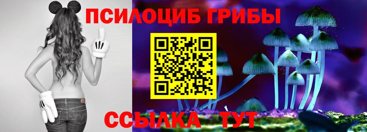 Галлюциногенные грибы мицелий  Вход с VPN  Галлюциногенные грибы мухоморы  Аксай 